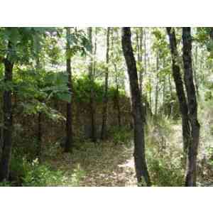 Click para ampliar. Pulsa en el nombre para ver la ficha. Vista interior-Muralla-San Martin